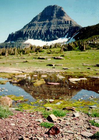 [Reynolds Mountain, Glacier National Park, Montana]