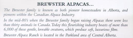 [The Brewster
 family is known as both pioneer homesteaders in Alberta, and pioneers
 within the Canadian Alpaca Industry.  In the mid-80's when the
 Brewster family began raising Alpacas there were less than thirty
 animals in Canada.  Today this flourishing industry boasts 6000 of
 these gentle, loveable creatures, which produce soft, luxurious
 fibre.]