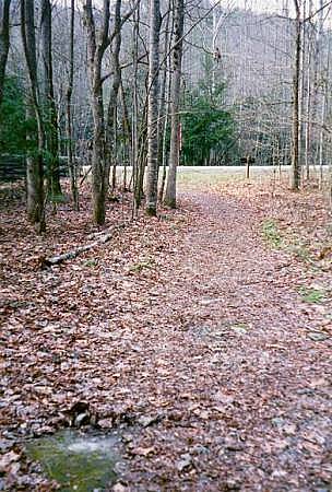 [Image: View toward road (benchmark lower left)