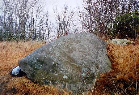 [Image: Rock with marker