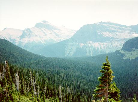 [St. Mary's Valley, Glacier National Park, Montana]