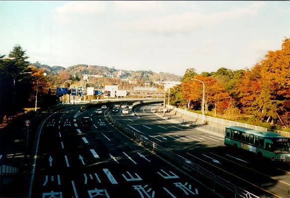[View westward on Hirosedori, Sendai]