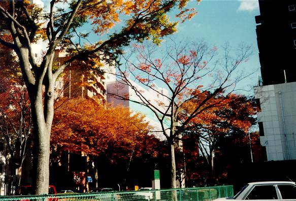 [View of Sendai Washington Hotel from Aobadori, Sendai]