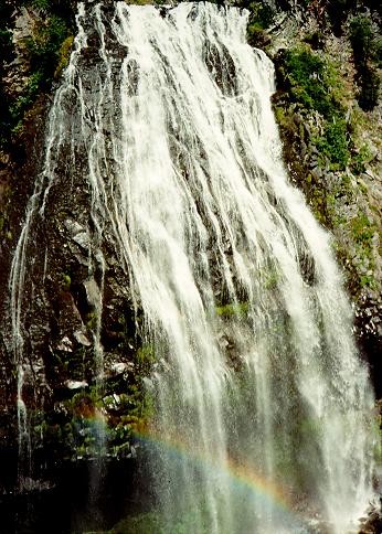 [Narada Falls, Mount Rainier National Park, Washington]