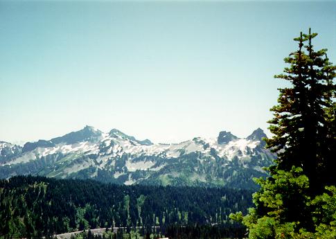 [from Alta Vista, Mount Rainier National Park, Washington]